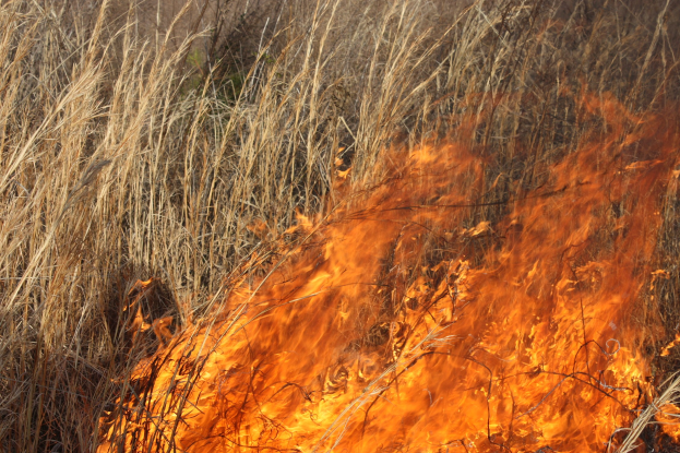 Verschreibung Feuer in einem Feld mit hohem Gras in Flammen und Rauch, der in den Himmel aufsteigt.