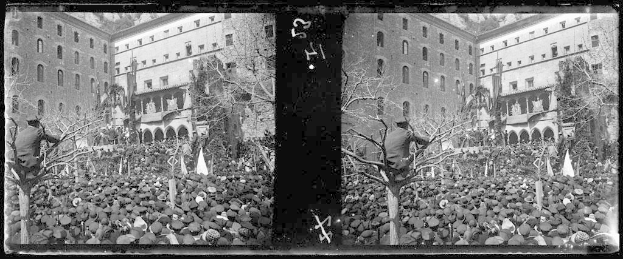 Ein Schwarz-Weiß-Foto einer großen Menschenmenge vor einem Gebäude mit Bäumen und Fahnen im Hintergrund, einige halten Schilder und Transparente, was auf eine Demonstration in einer Stadt hinweist.