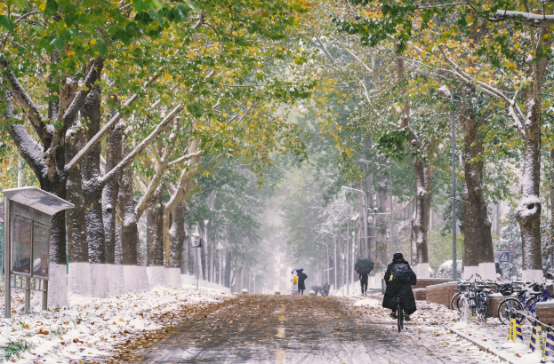 Menschen, die eine verschneite Straße entlanggehen und Regenschirme halten, mit schneebedeckten Bäumen am Wegesrand, Fahrrädern auf der rechten Seite und einem Unterschlupf auf der linken Seite.