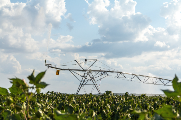 Sichere Erträge bei frühsommerlicher Trockenheit: 8 Tipps für Landwirte