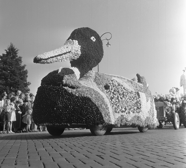 Ein Schwarz-Weiß-Foto eines mit Blumen geschmückten Entenwagens in einem Umzug, mit Menschen auf der linken Seite, Bäumen und einem klaren Himmel im Hintergrund.