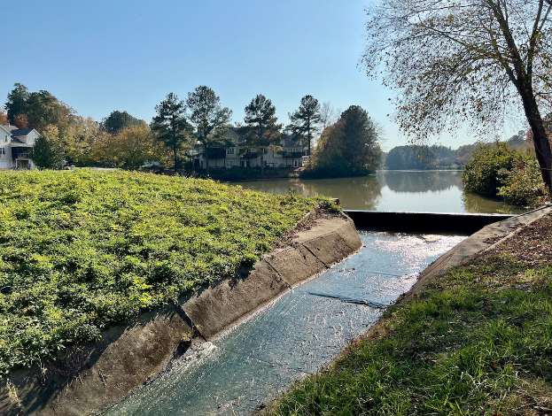 Kleiner Bach, der durch eine grüne Wiese neben einem Gewässer fließt, gesäumt von Bäumen und Pflanzen, mit Gebäuden und einem klaren blauen Himmel im Hintergrund.