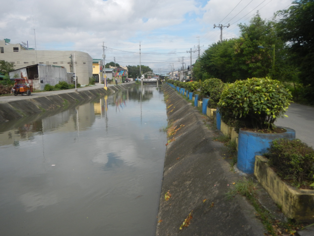 Flutstraße in der Stadtmitte mit Wasser auf der Straße, Fahrzeuge auf der linken Seite, Grünfläche auf der rechten Seite, Gebäude und Strommasten im Hintergrund und bewölkter Himmel oben.