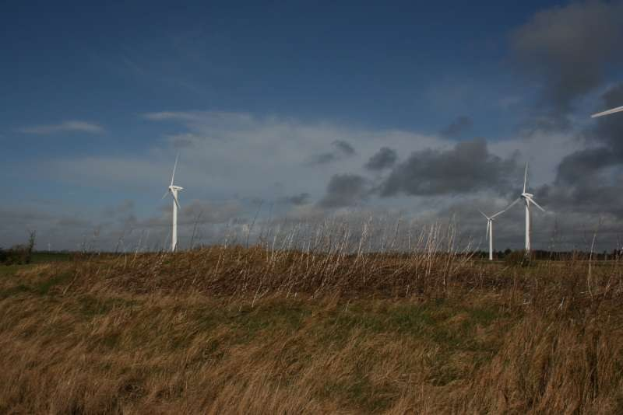 Ein Windturbinenfeld auf einer grünen Wiese mit Bäumen im Hintergrund und Wolken am Himmel, wahrscheinlich Teil eines Windparks in den Niederlanden.
