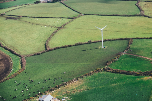 Luftaufnahme eines einzelnen Windrads in einer grünen Wiese mit Bäumen, Häusern und Tieren im Hintergrund, das sich in Irland befindet.