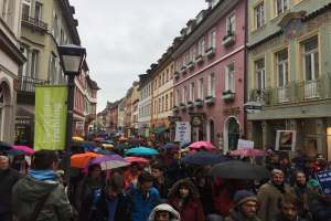 Eine große Gruppe von Menschen, die während eines Klimastreiks in Deutschland durch die Straßen geht, viele mit Schirmen und Schildern, mit Gebäuden und einem Laternenpfahl im Hintergrund.