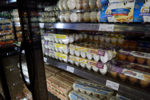 Ein Kühlregal in einem Supermarkt, das mit verschiedenen Eiern bestückt ist, die in Gestellen angeordnet sind, jeweils mit Preisschildern, vor einem leicht unscharfen Hintergrund.