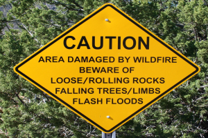 Gelbes Warnschild an einem Pfosten im Vordergrund, das vor einer durch Waldbrand beschädigten Zone mit Gefahren wie lockeren Steinen, umstürzenden Bäumen und Überschwemmungen warnt, vor einem Wald im Hintergrund.