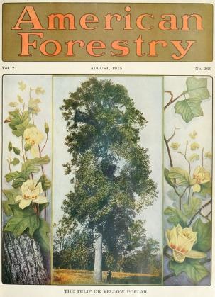 Ein Buchumschlag mit dem Titel "American Forestry Magazine, August 1915" mit leuchtenden Illustrationen von Bäumen, Blumen und Laub.