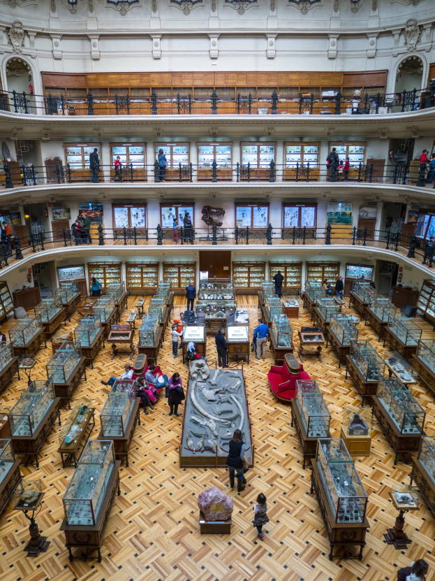 Großer Raum mit Glasvitrinen, Besuchern, Geländern, Beleuchtung und an der Wand montierten Skulpturen im Nationalen Naturhistorischen Museum in Washington, D.C.