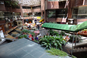 Großer Innenhof mit üppiger Vegetation, mehreren Personen, Tischen, Stühlen, Treppen mit Geländern, Gebäuden mit Fenstern und Klimaanlagen sowie einem Schuppen im Hintergrund.